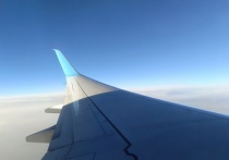 Узнайте, какой праздник отмечают 11 декабря 2025 года в России и мире. Православный день памяти, Международный день гор, День танго, народные приметы на Сойкин день и список именинников.