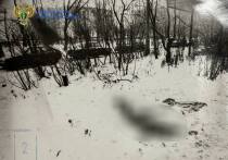 Перовский суд столицы вынес приговор мужчине, совершившему жестокое убийство собутыльницы 25 лет назад