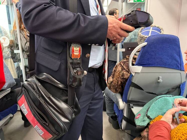 Пассажира в Ленобласти поймали с поддельным студбилетом в электричке