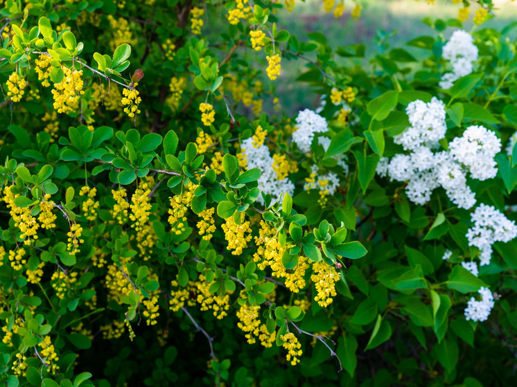 Приметы на Сойкин день: что нельзя делать 11 декабря 2025 года