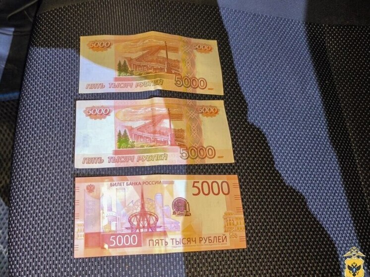 В Херсонской области водитель решил откупиться от полицейских – возбуждено дело