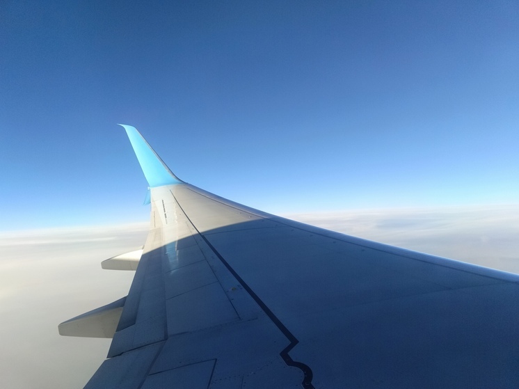 Узнайте, какой праздник отмечают 11 декабря 2025 года в России и мире. Православный день памяти, Международный день гор, День танго, народные приметы на Сойкин день и список именинников.