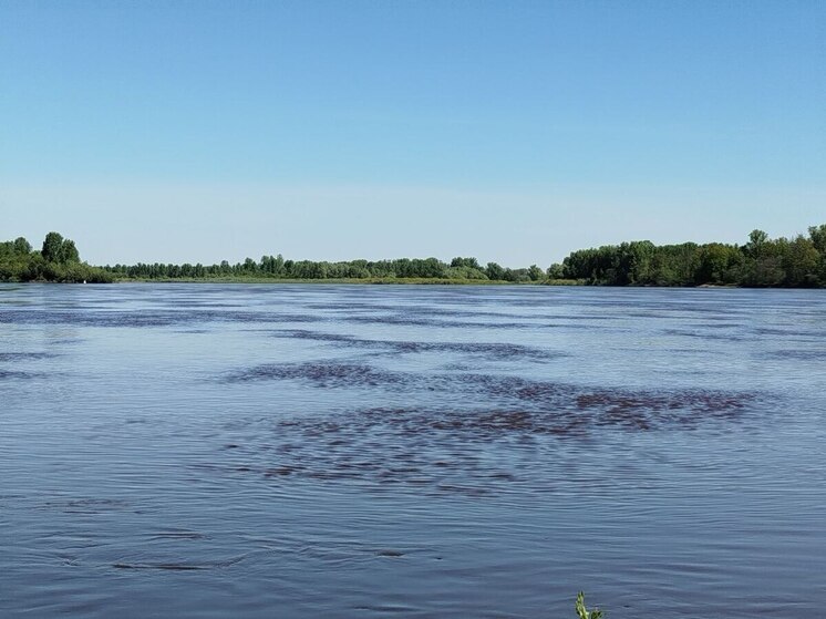 Хакасские министры распределили квоты промышленного вылова пеляди на 2026 год