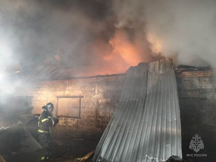 В колхозе Новоторъяльского района сгорела крыша гаража