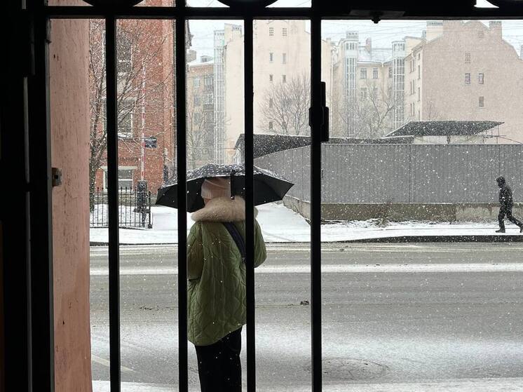 На Ленобласть снова идут дожди и мокрый снег