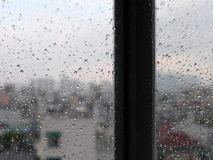 11 декабря в Брянской области пройдут дожди