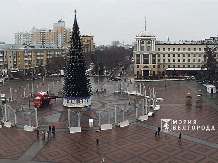 В Белгороде главная новогодняя ель готова на 85 %