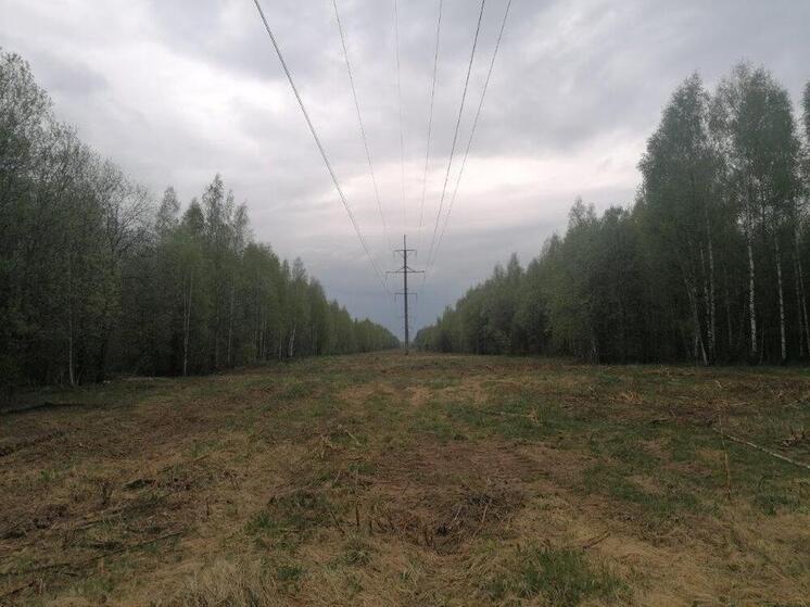 Смоленский филиал «Россети Центр» расчистил 2,4 тыс. гектаров просек линий электропередачи