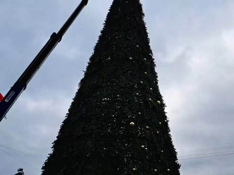 В Сочи продолжают устанавливать главную новогоднюю ёлку города