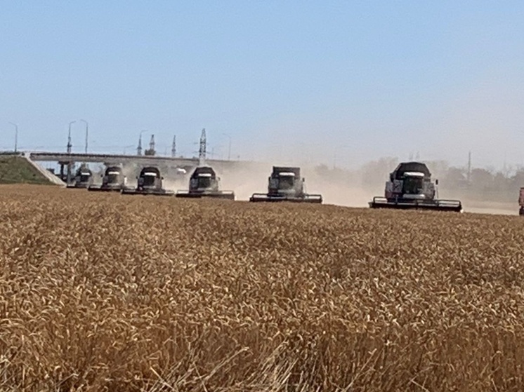 Расширение поддержки агробизнеса на Юге России