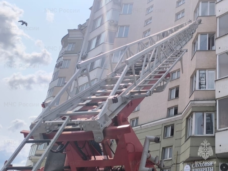 В Орловской области сотрудники МЧС помогли внукам попасть в квартиру к нуждающейся в помощи бабушке