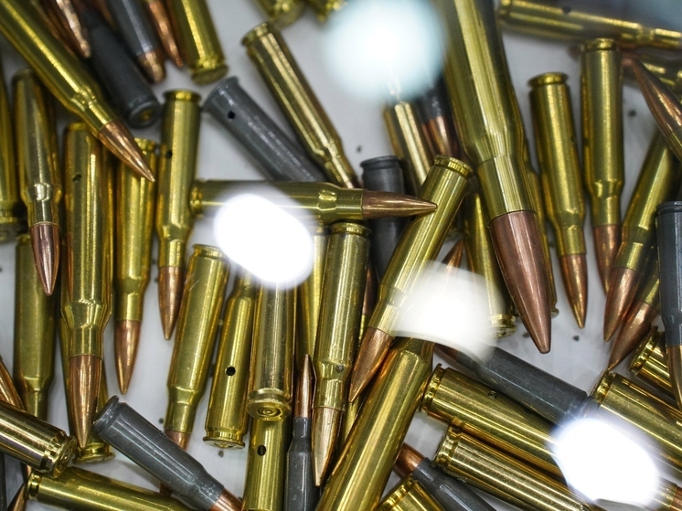 Туляка оштрафовали за незаконное хранение самодельных патронов