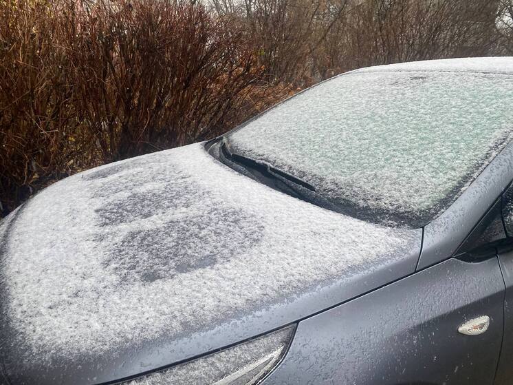 Рязанцев предупредили об ответственности за распитие алкоголя в машине