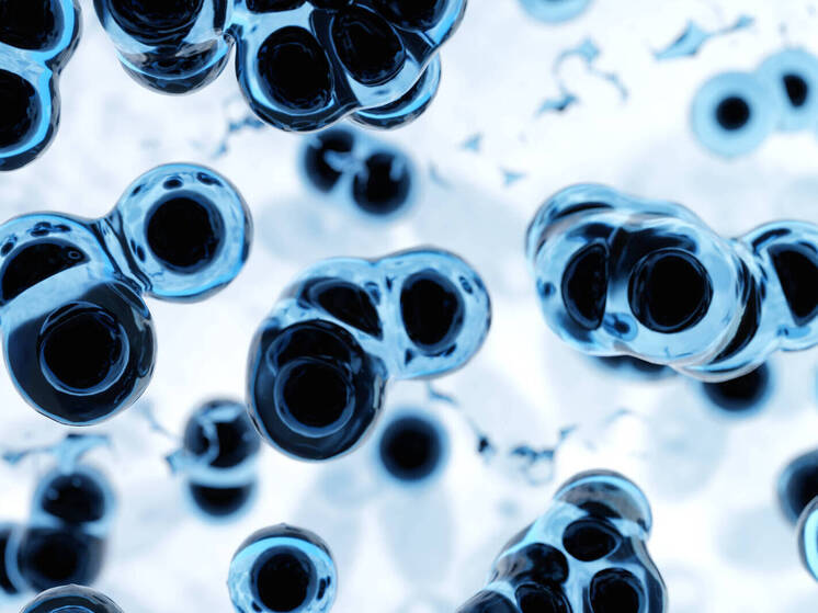 Daily Star: в Великобритании выявлен опасный мутировавший вирус оспы