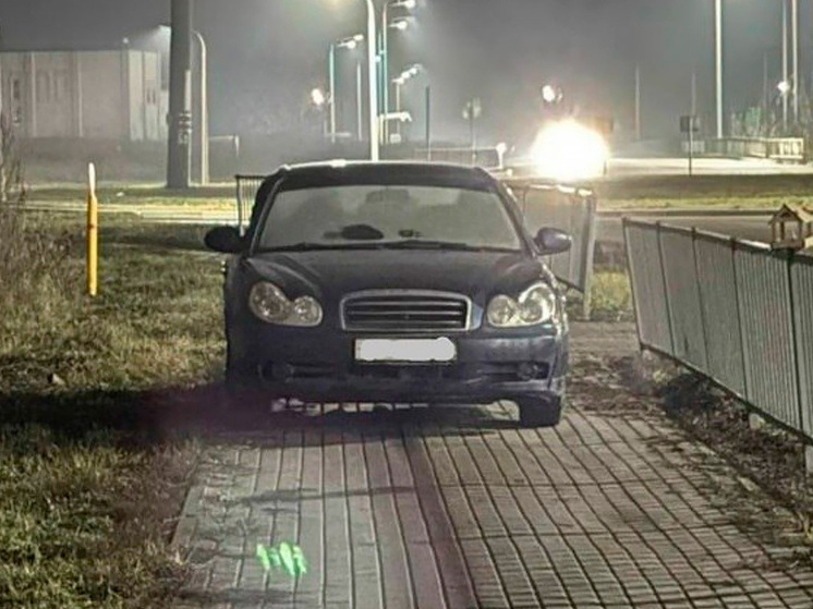 Липецкий автохам оштрафован за блокировку тротуара у школы