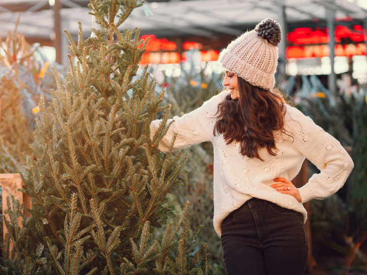 В Липецке елочные базары открылись на 50 адресах