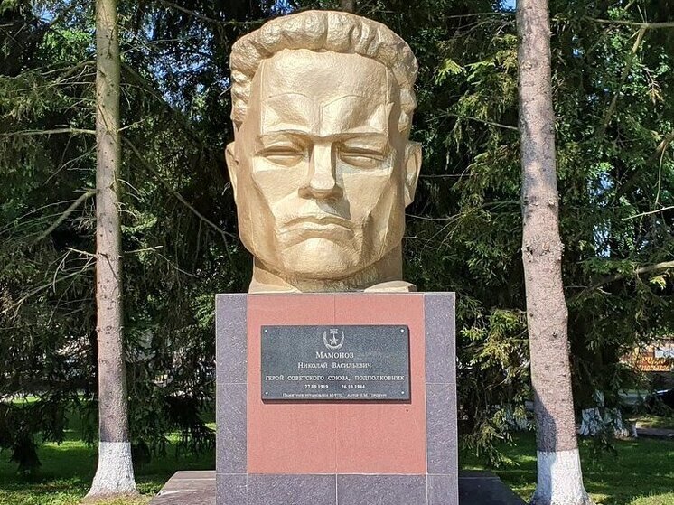 В Мамоново решат судьбу спорного бюста героя
