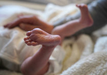 София и Михаил являются на данный момент самыми популярным именами для новорожденных в Московской области