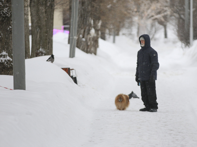 Что можно, а что нельзя делать 11 декабря в Сойкин день