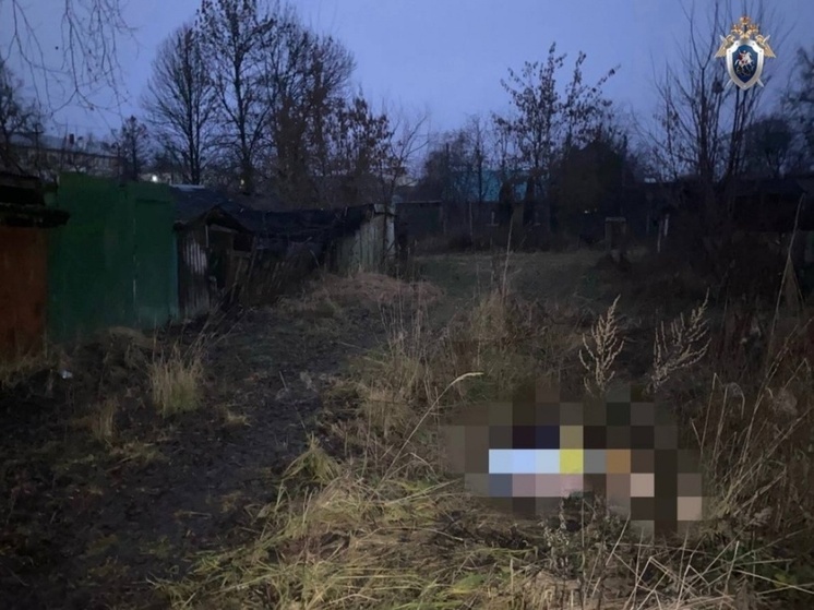 Нижегородец задушил знакомую во время ссоры