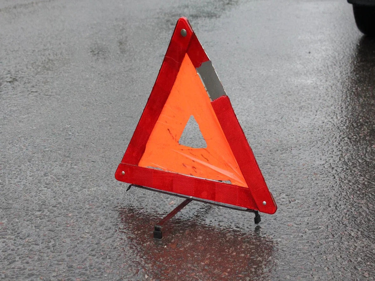 Спасатели МЧС России выручили автобус, съехавший с трассы в Запорожской области