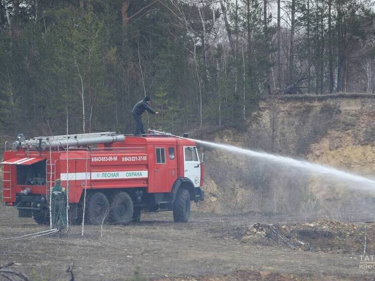 Во дворе дома в Нижнекамске пожарные потушили иномарку