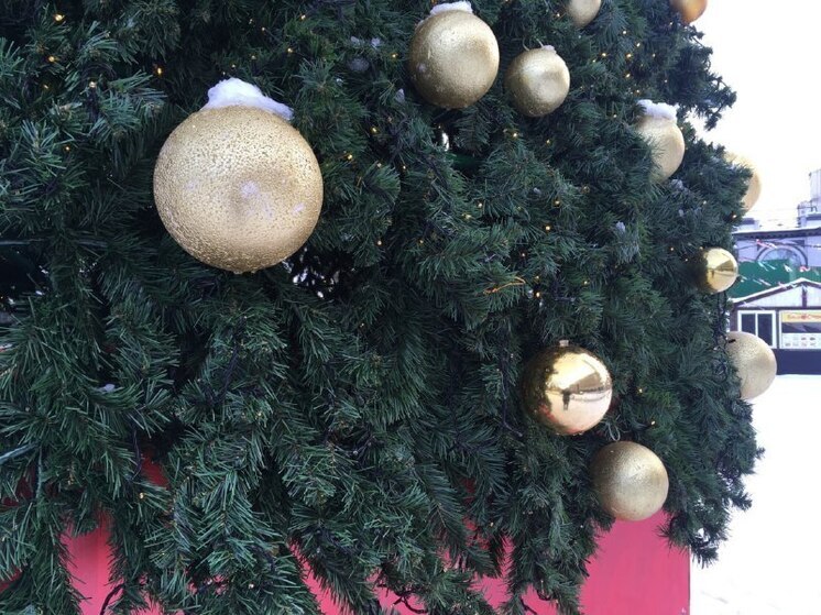 В Саратовской области зажглась «Ёлка желаний»