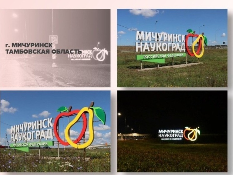 Мичуринск в финале всероссийского конкурса: въездная стела наукограда борется за звание лучшей!