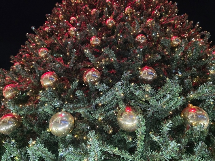 Почти 60% кубанцев празднуют новогоднюю ночь с оливье