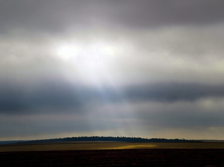 "Автодор" предостерег об ухудшении погодных условий на дорогах Тульской области