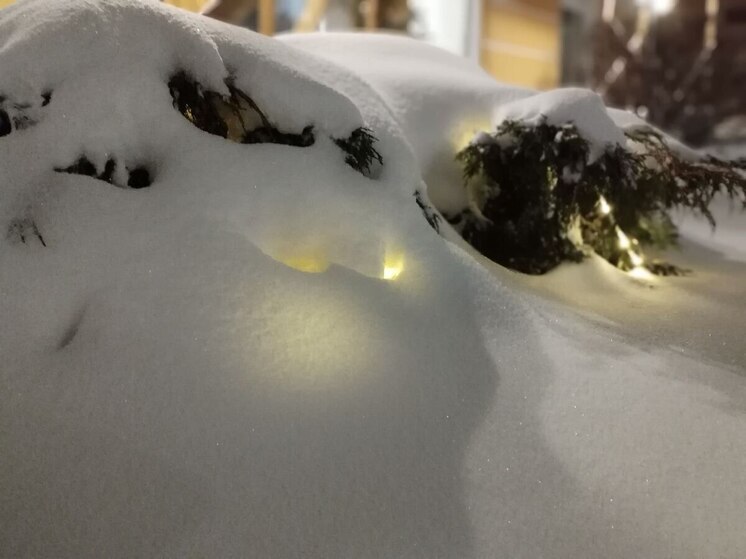 Глава Мурманска помог урегулировать спор по уборке двора