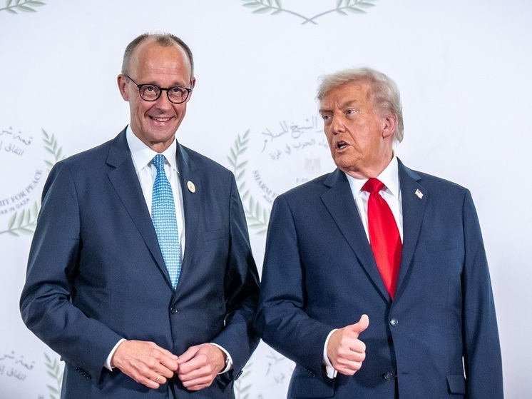 Мерц: критика Трампа в отношении иммиграционной политики ЕС не касается Германии