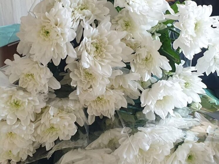 На складе в Калининградской области уничтожили партию больных хризантем