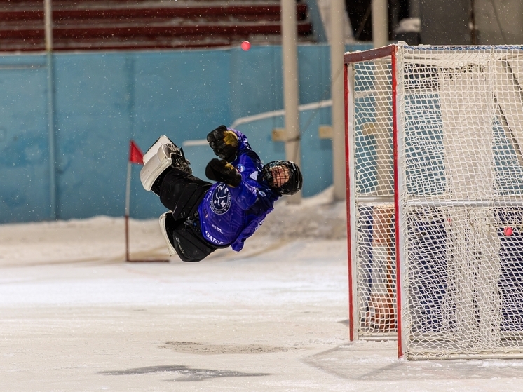 Предновогодний отрезок чемпионата страны по хоккею с мячом в Суперлиге подходит к своему завершению