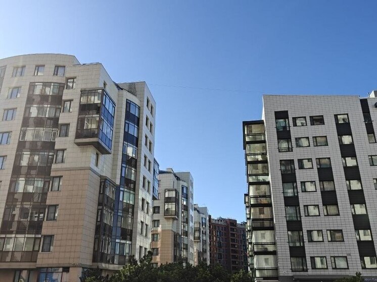 За два года в Петербурге суд рассмотрел 52 дела с «эффектом Долиной»