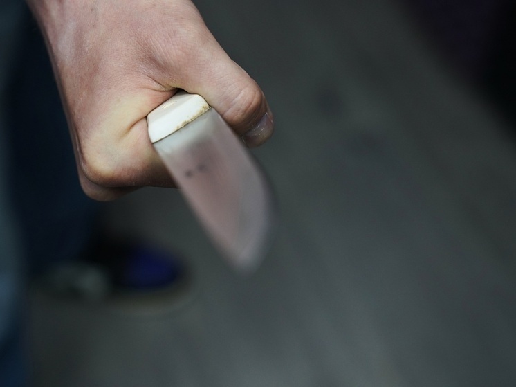 Служба судебных приставов пресекла в Тульской области пронос ножей  в суды