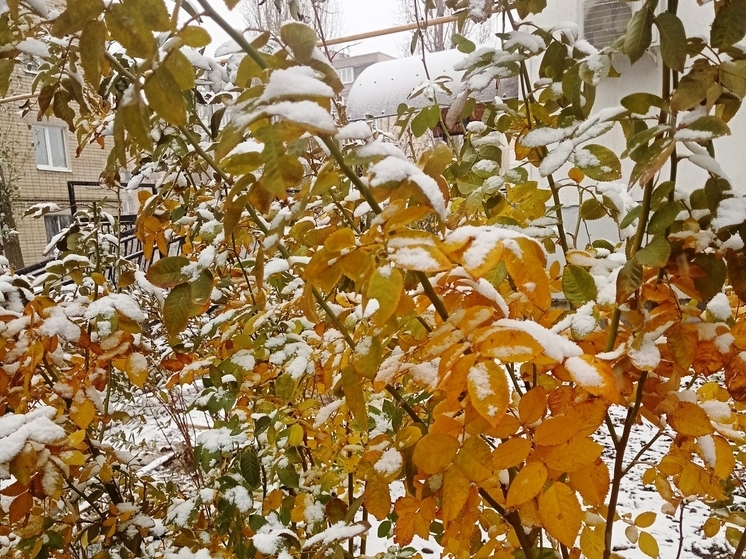 Сила магнитной бури 11 декабря составит 2 балла: любая деятельность принесёт успех