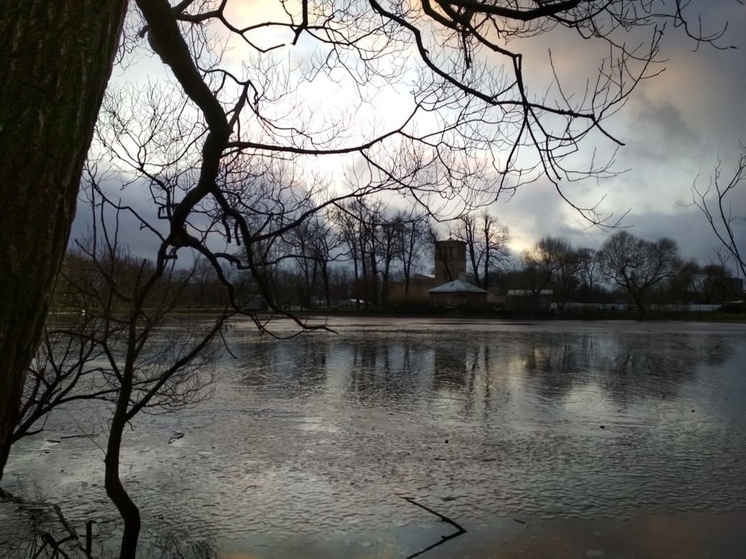 Ленинградцев 11 декабря ждет по-весеннему теплая погода и сильный ветер