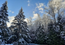 По данным нового опроса сервиса SuperJob, проведенного среди трудоустроенных представителей экономически активного населения Магадана, большинство жителей города не намерены увеличивать продолжительность предстоящих рекордно длинных новогодних праздников