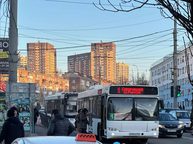 В Ростовской области с началом апреля 2026 года для перевозчиков будут введены штрафы