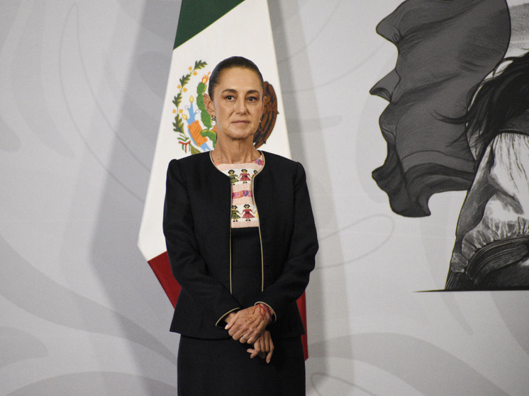 Шейнбаум: при Трампе из США в Мексику депортировали 140 тысяч мексиканцев