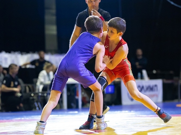 Борцы Архангельска завоевали «Кубок Арктики» на всероссийском турнире