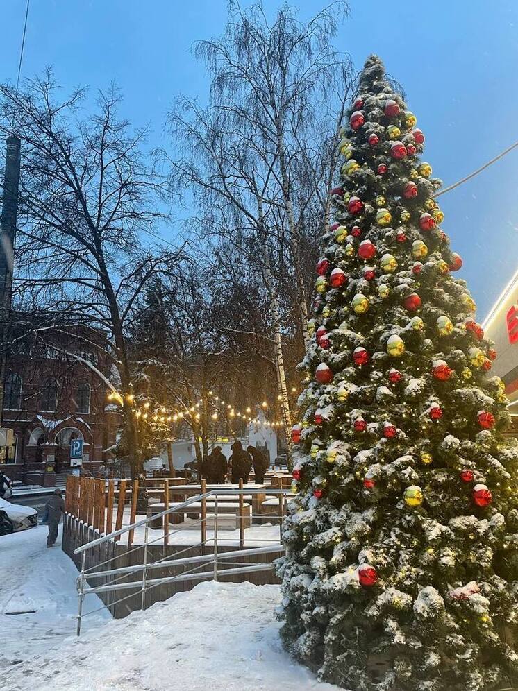Дождь со снегом и до +1°С ожидается в Нижнем Новгороде 11 декабря