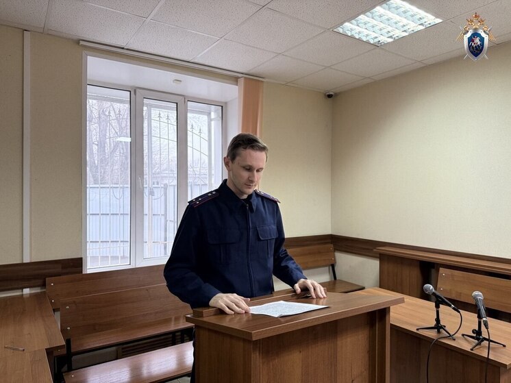 Средний размер взятки в Нижнем в 2025 году составил 228 тысяч рублей