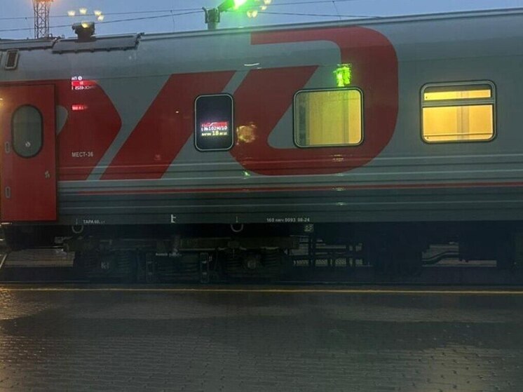 Из Воронежа в Адлер запустят дополнительные поезда на новогодние праздники