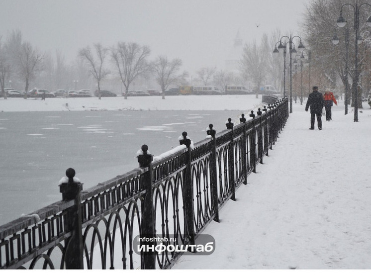 По народному календарю 11 декабря 2025 года отмечается Сойкин день