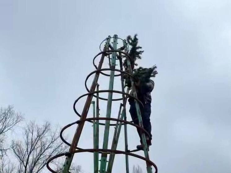 Названы места в Махачкале, где будут установлены новогодние елки