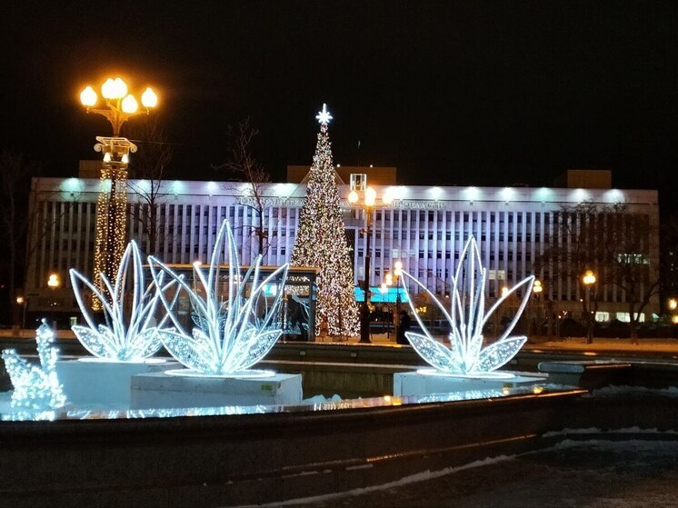 Предновогодняя ярмарка с фермерскими продуктами и подарками пройдёт в Южно-Сахалинске