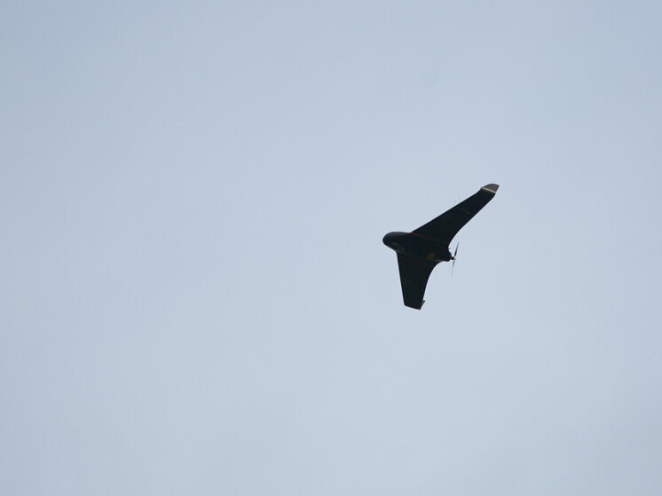 ПВО Москвы сбила 31 беспилотник за ночь в Москве