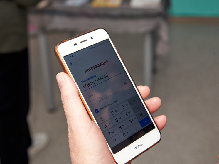 Госуслуги приходят в мессенджер: жители Новосибирской области смогут получать уведомления в МАХ